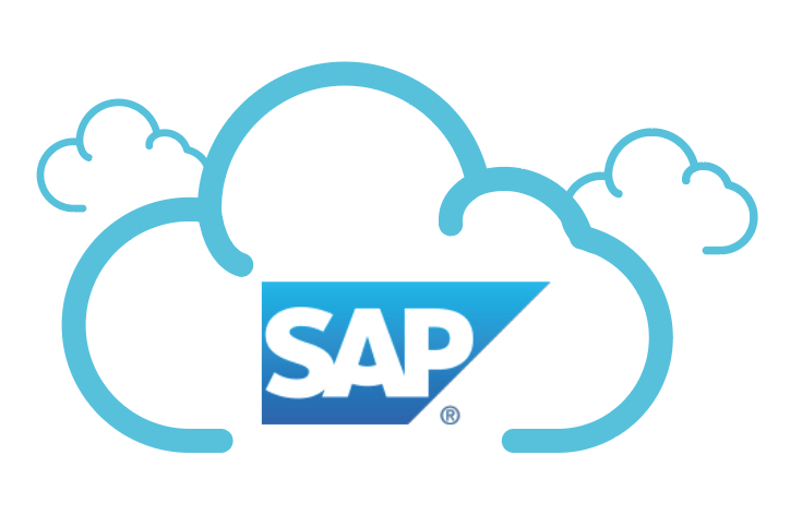 Rise with Sap